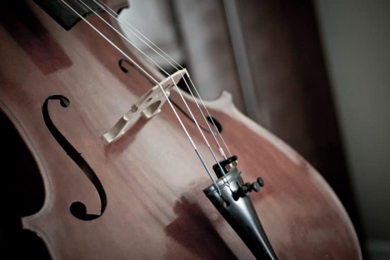 cello_detail_instrument