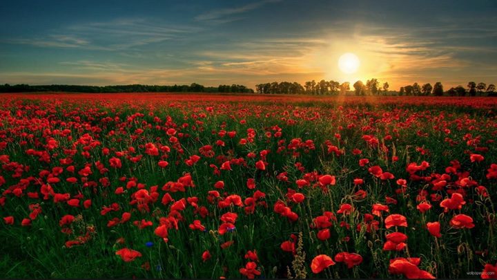 18055887_1328255503877003_7845489785377484025_o