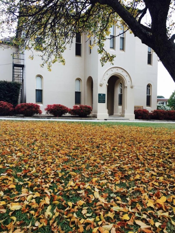 the-scots-school-bathurst-img