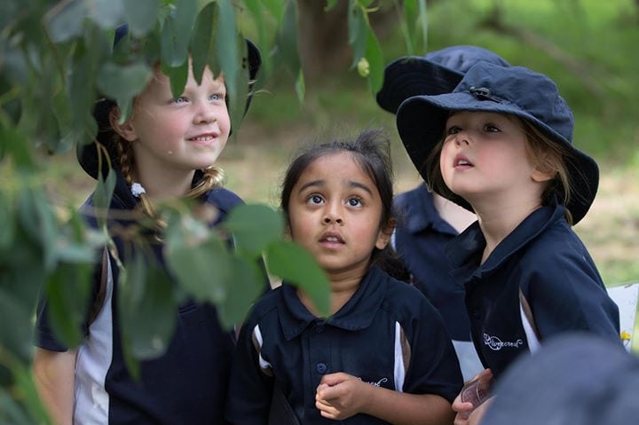 12976892_604966916346529_5819283548507088480_o