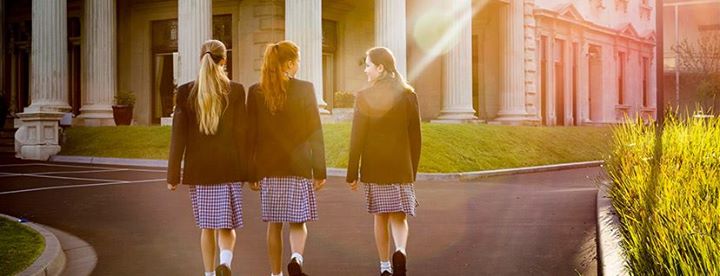 16508718_1455026267876073_6769277537021328182_n