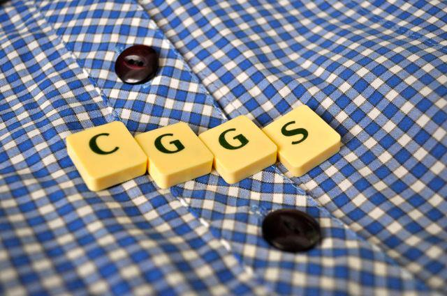 302950_256168104403624_2518379_n