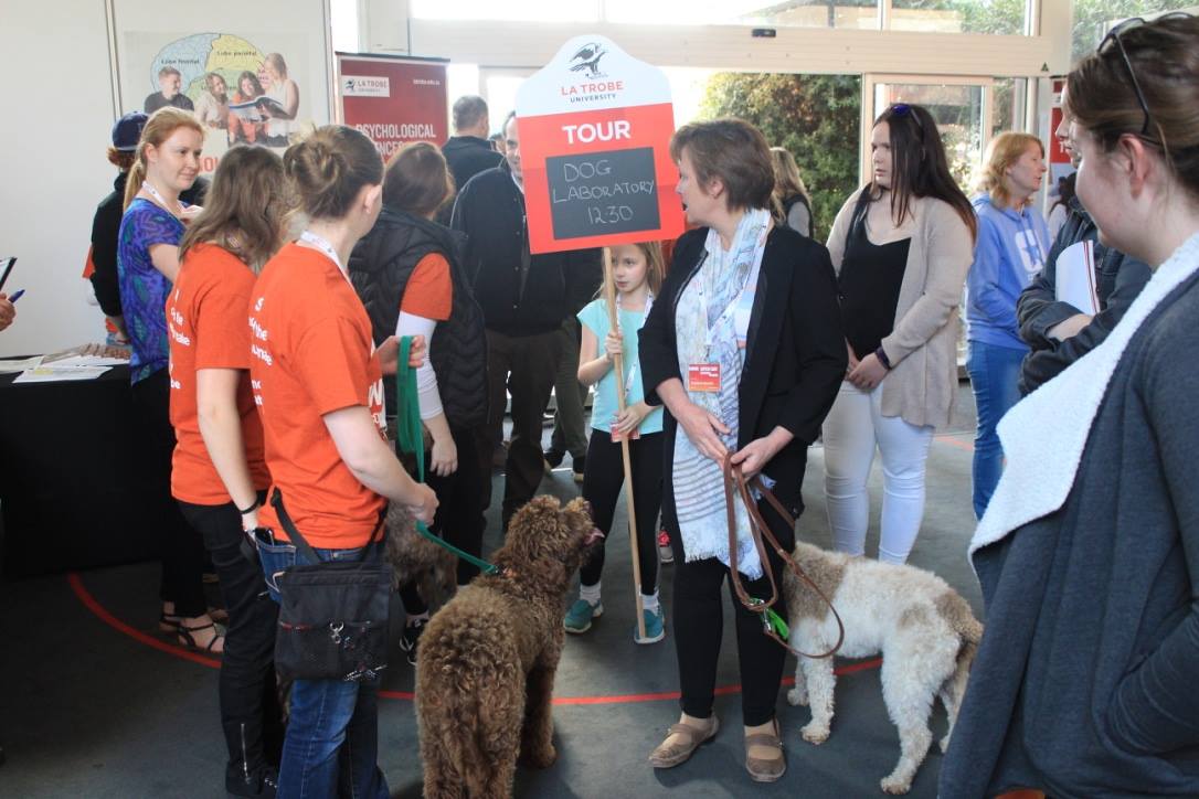 20507829_1735516179811793_790716315572109258_o