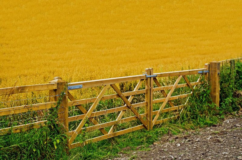 Fields at harvest time behind a farm gate