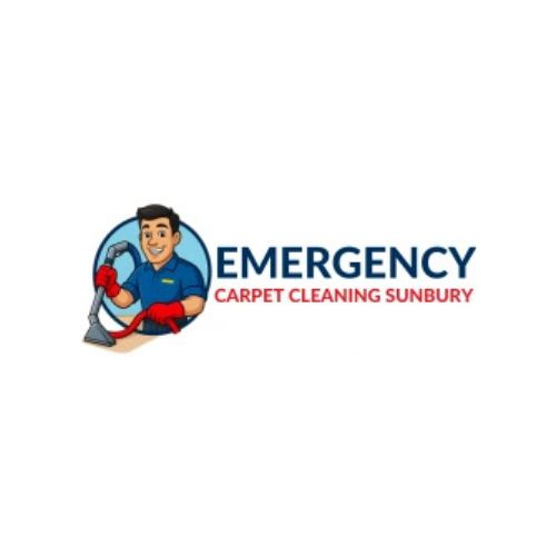 Emergency Carpet Cleaning