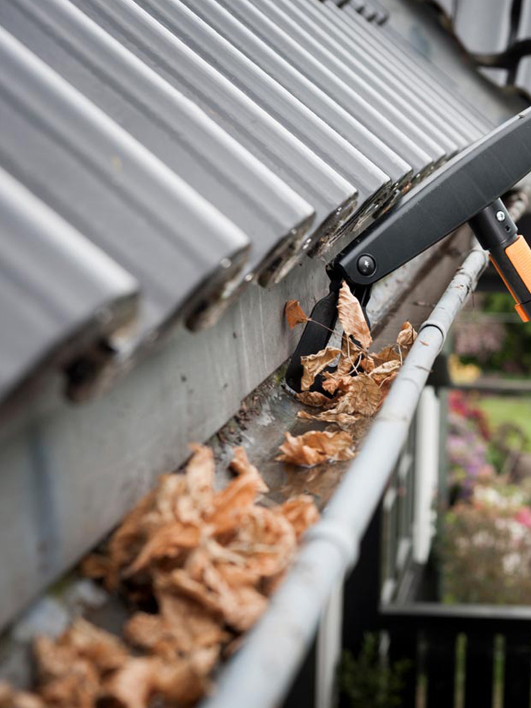 Gutter cleaning