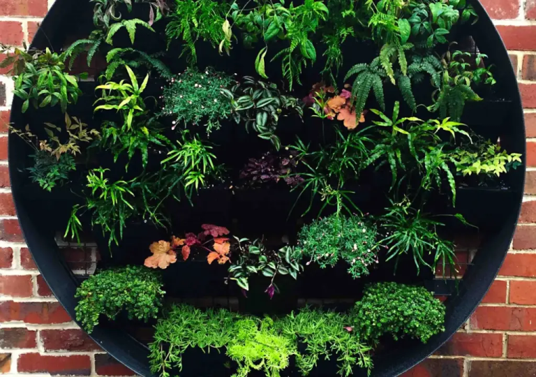 VERTICAL GARDEN1 768x540