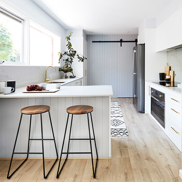 layouts explore galley