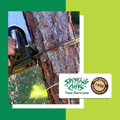 spitting 03 q0ey4tatktl794gdebhgx7nwf2d0rjkjwcpv4i3de0