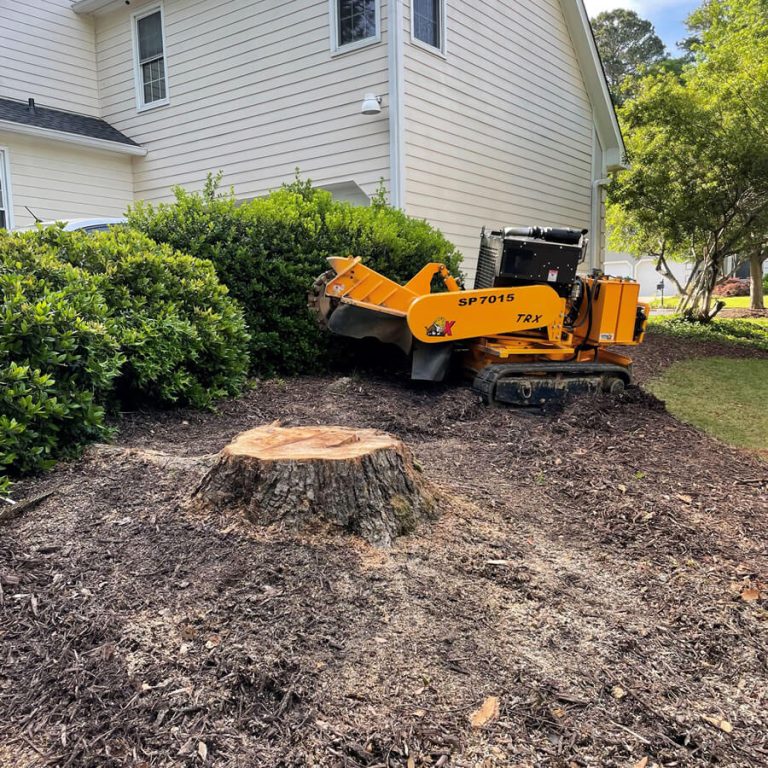 stump grinding canberra 768x768