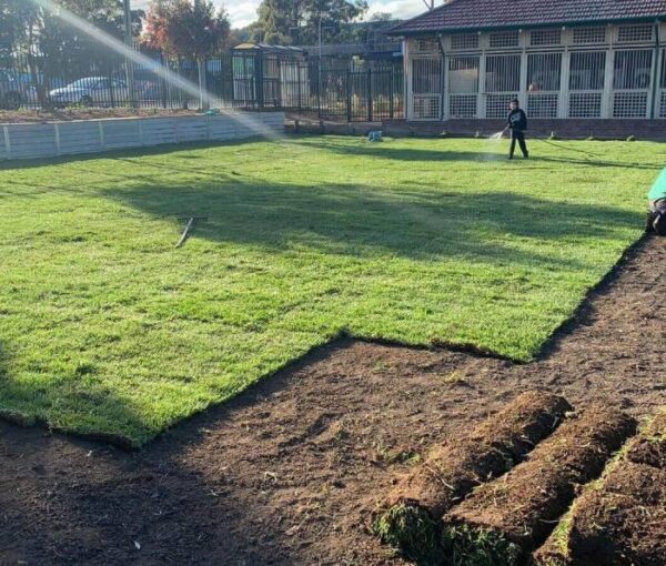 turf laying 600x510 1