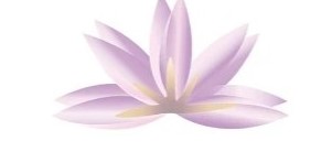 MySchoolAdvisor Australian School Directory website 7