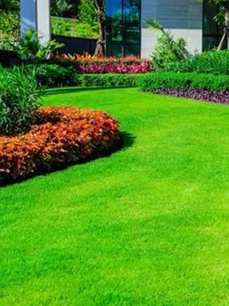 Landscaping Services in Dandenong 2 Landscape Design 1